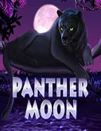 เกมสล็อตออนไลน์ที่ดีที่สุด รีวิวสุดฟินจากค่าย Joker Gaming